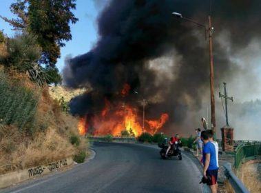 Gli incendi continuano a devastare la provincia di Cosenza. In fiamme la Sila e Vadue (FOTO) 70 luzzi1