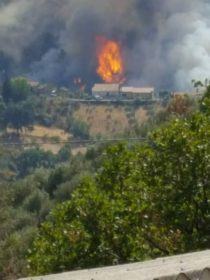 Gli incendi continuano a devastare la provincia di Cosenza. In fiamme la Sila e Vadue (FOTO) 71 luzzi31_1848373079116774156_n