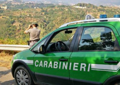 Bruciava rifiuti per smaltirli: denunciato e sanzionato di circa duemila euro 54 pattuglkia cc-forestali cosenza