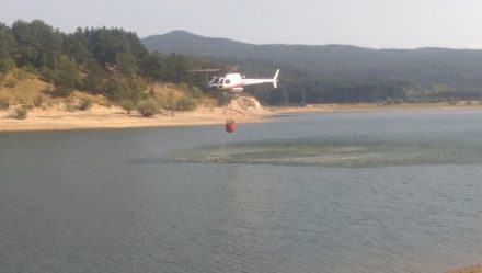 Gli incendi continuano a devastare la provincia di Cosenza. In fiamme la Sila e Vadue (FOTO) 77 sila333