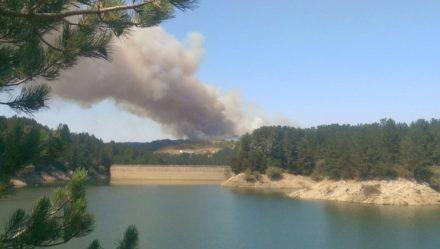 Gli incendi continuano a devastare la provincia di Cosenza. In fiamme la Sila e Vadue (FOTO) 75 sila_