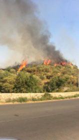 Tessano e Laurignano nuovamente in fiamme, residenti contro il sindaco: "Ci ignora" (FOTO) 57 tessano1