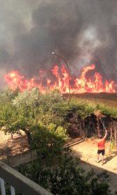 Gli incendi continuano a devastare la provincia di Cosenza. In fiamme la Sila e Vadue (FOTO) 72 vadue9