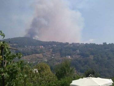 incendio-rogliano07_n