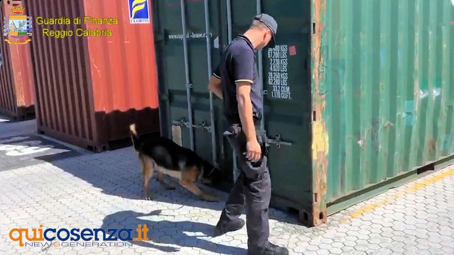 (FOTO - VIDEO) Ancora un sequestro nel "porto della cocaina", la Finanza scopre 308 chili di droga 57 Gioia tauro sequestro droga4