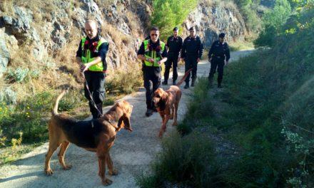Anziano scomparso avvistato a Castrovillari, proseguono le ricerche 56 anziano