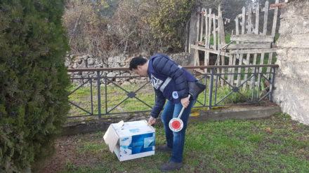 Cuccioli abbandonati2