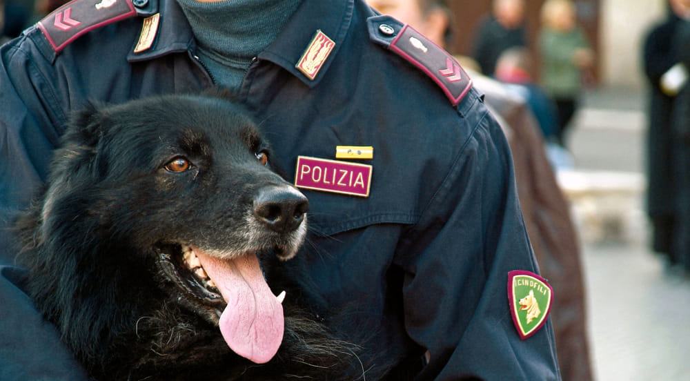 Cosenza, lo trovano in una pozza di sangue mentre si accoltella alla pancia. Salvato dalla polizia 58 Polizia cinofile controlli