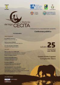 La Sila presenta l'elefante preistorico ritrovato nel lago Cecita 54 elefante-cecita