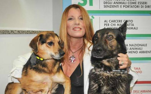 brambilla randagismo