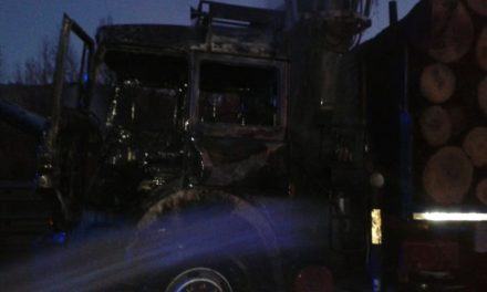 7029f038-eb13-4794-8baa-5aa9d01ca9e0