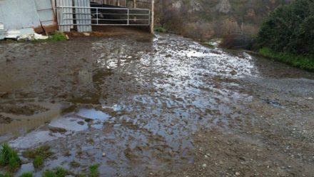 Schiuma nel fiume Busento, individuata la fonte di inquinamento 58 IMG-20180104-WA0030