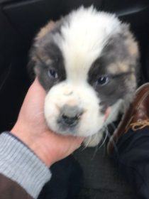 c29a446d-d3d9-4f9d-b05e-135fc2561bda