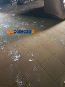 intimidazioneagronomologo8