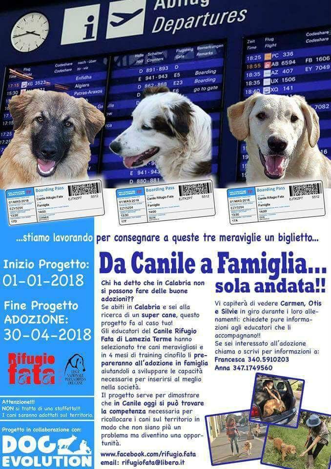 progetto rifugio fata lamezia 02