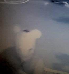 rapina paola topo maschera