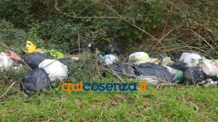 Rifiuti: lo scempio a Rende continua nelle periferie abbandonate al degrado (FOTO) 59 rifiuti contrada vallone Rende 01