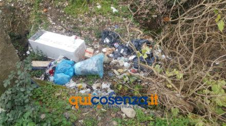 Rifiuti: lo scempio a Rende continua nelle periferie abbandonate al degrado (FOTO) 58 rifiuti contrada vallone Rende 03