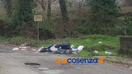 Rifiuti: lo scempio a Rende continua nelle periferie abbandonate al degrado (FOTO) 60 rifiuti contrada vallone Rende 04