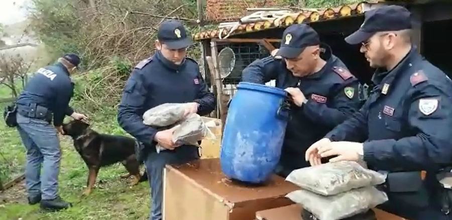 marijuana acquappesa polizia