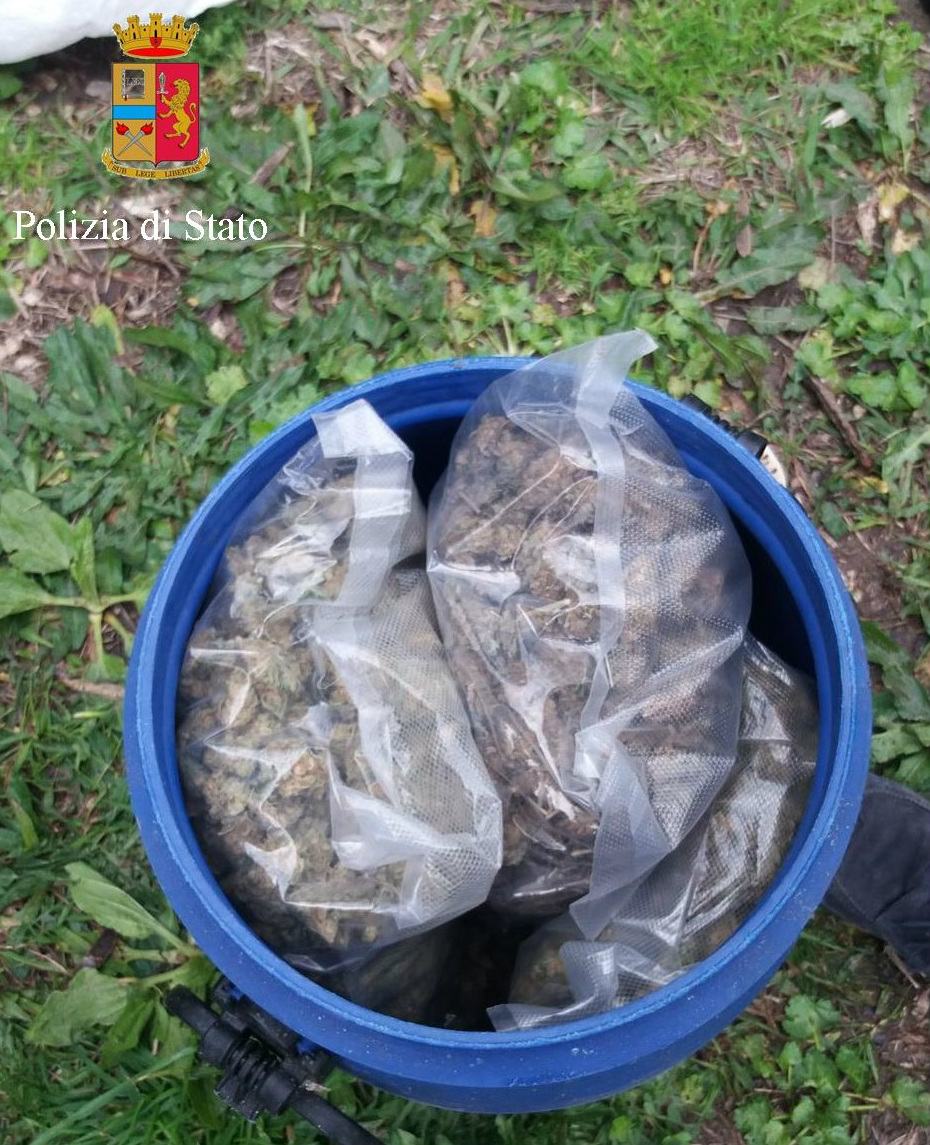 marijuana rinvenuta acquappesa 03