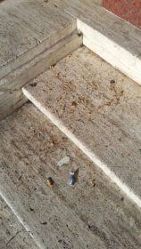 b95effb3-ec4d-44f6-8ef2-fcd21e01b112