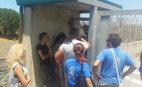 canile campo calabro