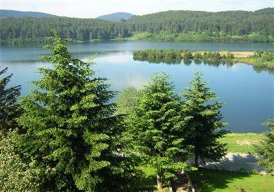 La spartizione dei boschi della Sila tra i clan cosentini e crotonesi 54 parco-nazionale-della-sila