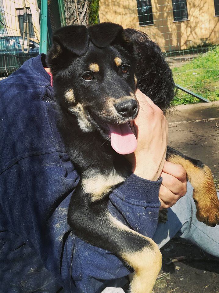 33895710 1472518516187501 569578672801972224 n