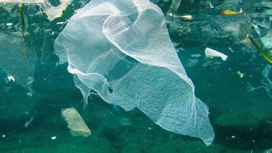 Giornata Mondiale Ambiente