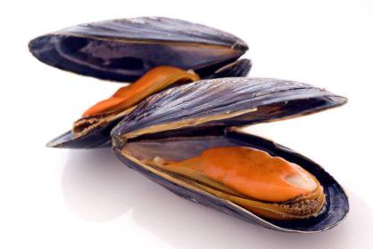 Miesmuscheln cfff983d08 01