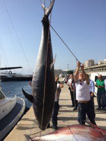 Tonno sequestrato dalla motovedetta Guardia Costiera in mare