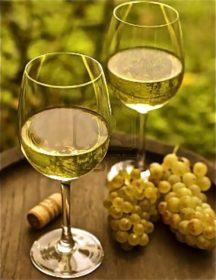 Zuppa di fagioli, patate e cozze 60 giovanniberetta white wine