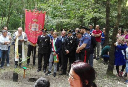 orsomarso 1 1