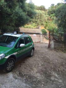 scala coeli