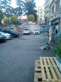 FOTONOTIZIA - Cosenza, il degrado che dà il benvenuto ai turisti 56 37013353 10212245383785226 5551162212657135616 n