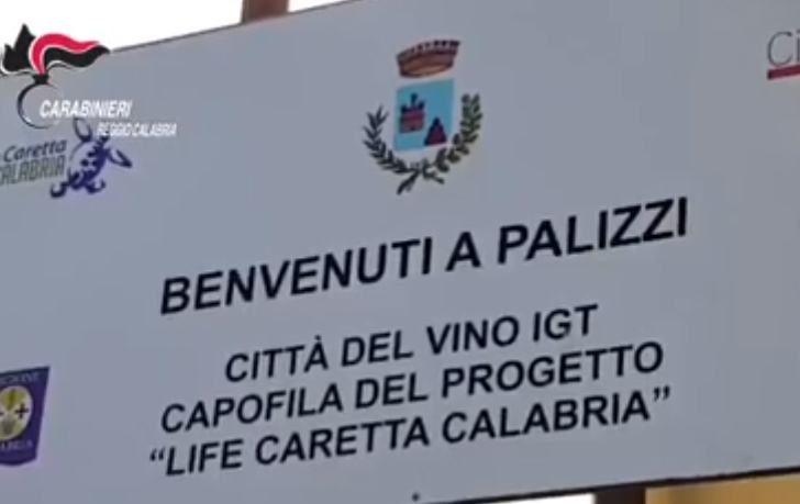 sindaco palizzi caretta arresto