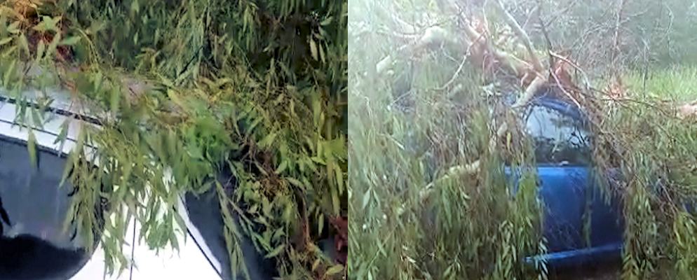 Tromba d'aria a Rende: allagamenti, alberi divelti e un tetto scoperchiato 57 Auto albero rende
