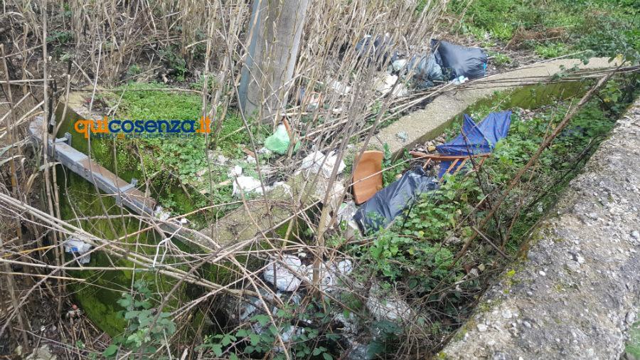 Rende: l'eterna discarica ai piedi del centro storico. Altro che differenziata! (FOTO) 62 Rende 011