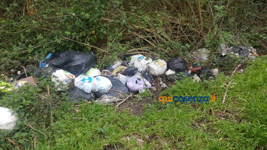 Rende: l'eterna discarica ai piedi del centro storico. Altro che differenziata! (FOTO) 66 Rende 05