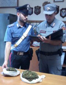 Sostanza stupefacente arresto