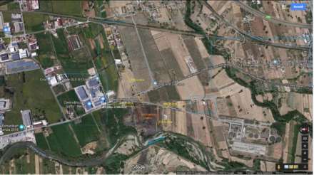 quadrilatero veleni rende coda di volpe