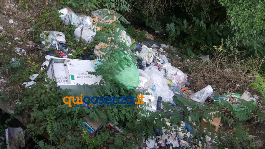 Rende: l'eterna discarica ai piedi del centro storico. Altro che differenziata! (FOTO) 64 rifiuti corso dacqua rende