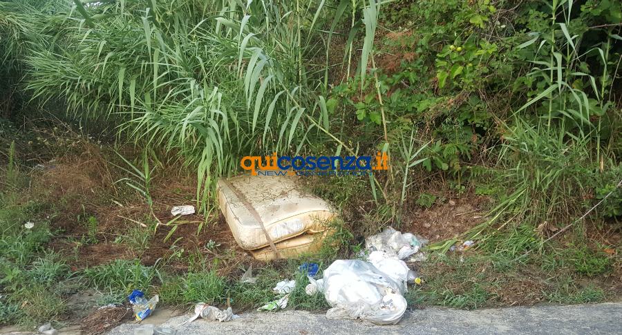 Rende: l'eterna discarica ai piedi del centro storico. Altro che differenziata! (FOTO) 65 rifiuti rende contrada San Pietro 01