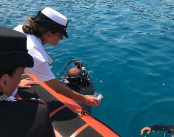 Cavallucci marini curati e liberati in Calabria nel mar Jonio 54 soverato