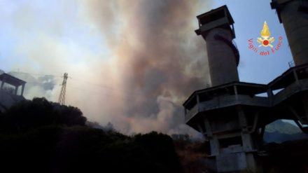 Vasto incendio lambisce pineta e stabilimento di torrefazione 61 0