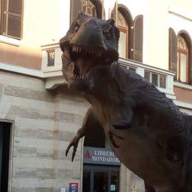 37609434 1751794181585578 2811085945254707200 n