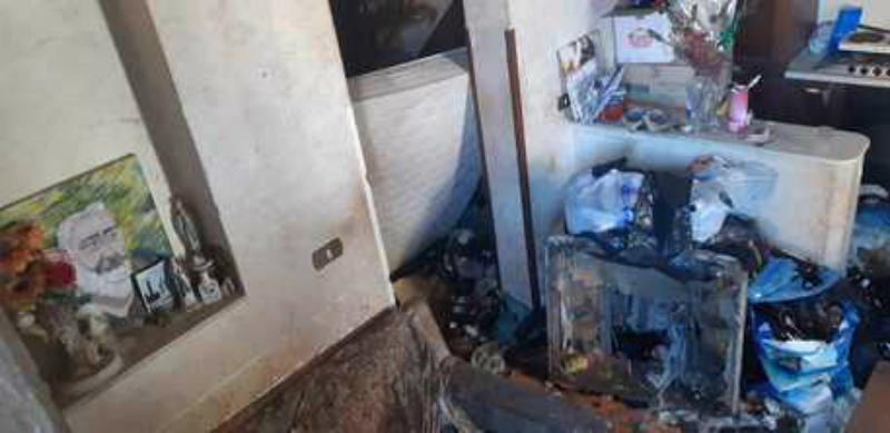 Cani denutriti nell'abitazione di un'anziana, intervengono vigili e Asp 54 casa anziana reggio cani denutriti