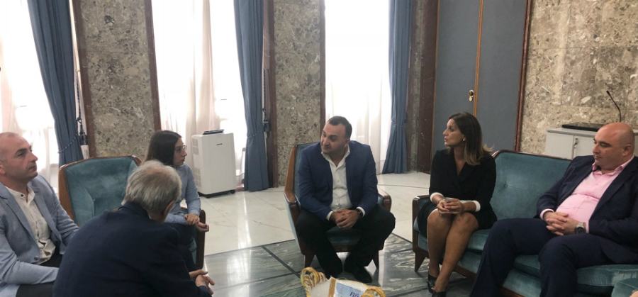 A Palazzo dei Bruzi, delegazione della città di Kutaisi in Georgia. Presto gemellaggio 56 kutaisi incontro comune cosenza