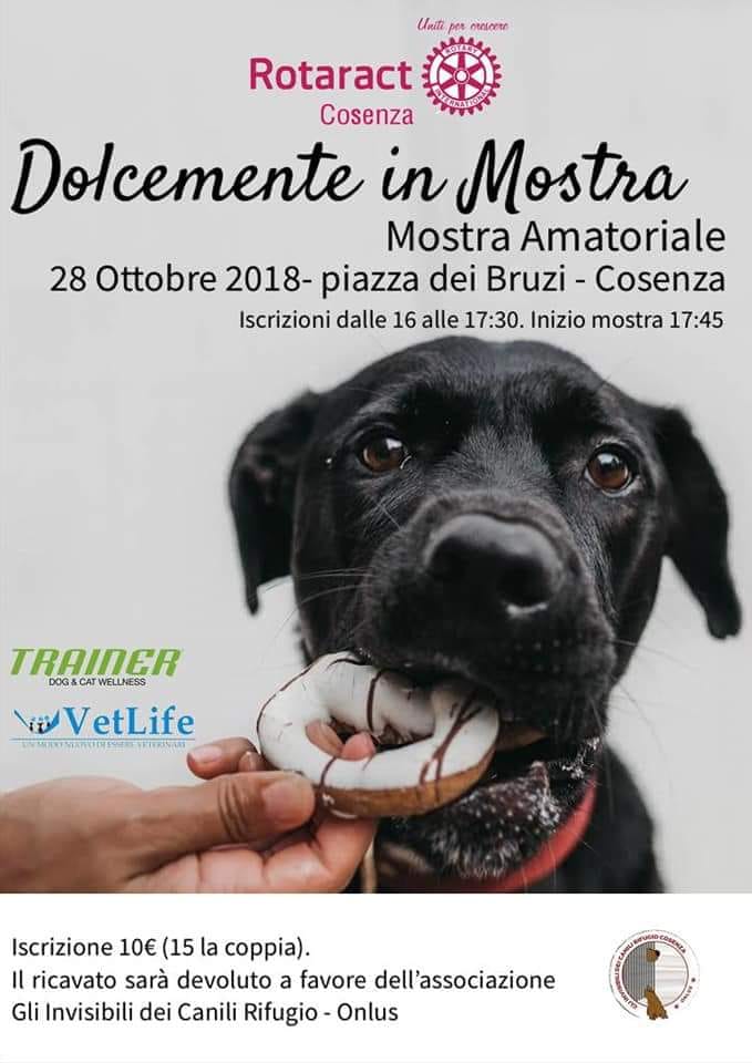 28 ottobre cani festa cioccolato